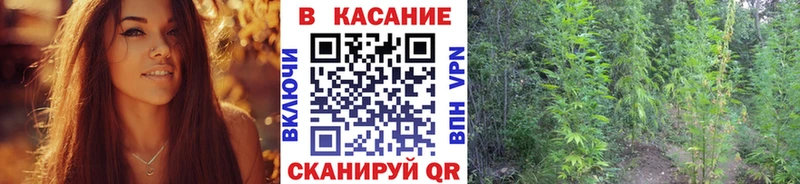 Виды наркоты Городец Канабис ОМГ ОМГ зеркало ГАШ АМФ