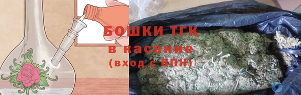 ECSTASY Бородино