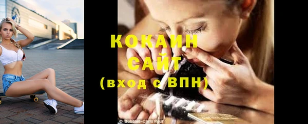 ешки Бронницы