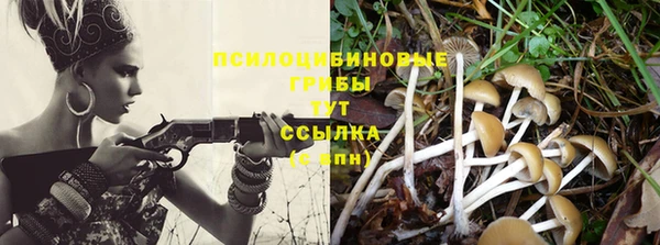 скорость Великий Новгород