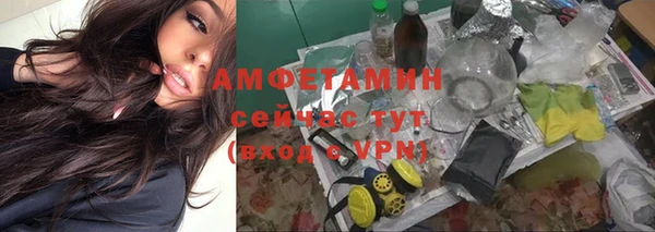ECSTASY Бородино