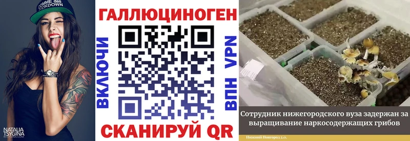 наркота  Городец  Псилоцибиновые грибы GOLDEN TEACHER 