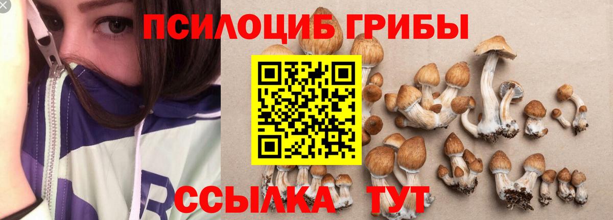 Псилоцибиновые грибы GOLDEN TEACHER  Псилоцибиновые грибы MAGIC MUSHROOMS  Городец  Вход с VPN 